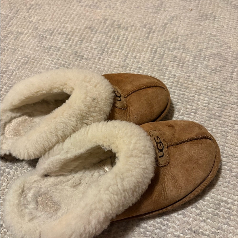 UGG women’s scuffette Brown Slippers with Cream Lining